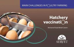 Main challenges in poultry farming. Hatchery vaccination