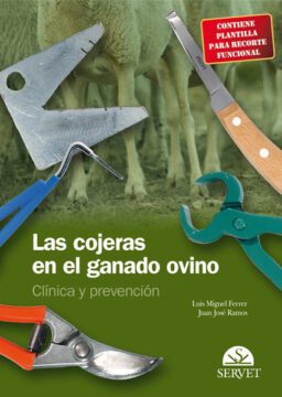Las cojeras en el ganado ovino