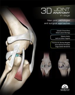 3D Joint Anatomy in dogs