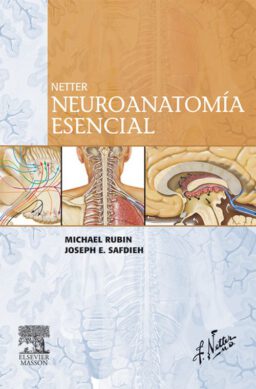 Netter. Neuroanatomía esencial