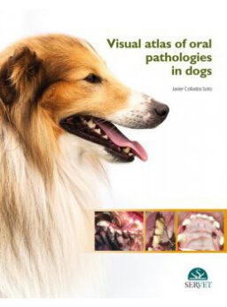 Visual atlas of oral pathologies in dogs