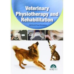 Veterinary physiotherapy and rehabilitation