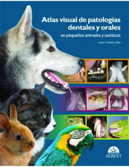 Atlas visual de patologías dentales y orales en pequeños animales y exóticos