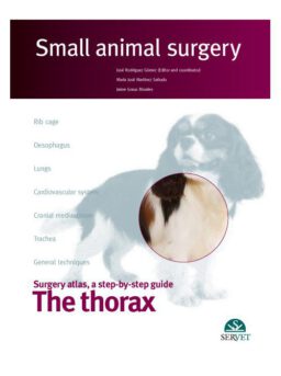 The thorax. Small animal surgery