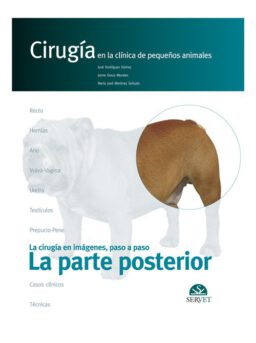 La parte posterior. Cirugía en la clínica de pequeños animales