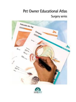 Pet owner educational atlas. Surgery