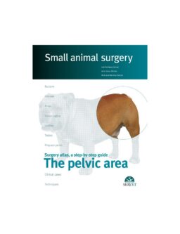 The pelvic area. Small animal surgery