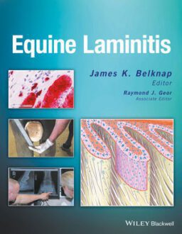 EQUINE LAMINITIS
