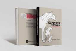 Acupuntura veterinaria y terapias naturales