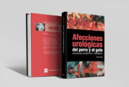 Afecciones urológicas del perro y el gato