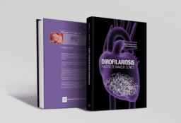 Dirofilariosis: pautas de manejo clínico