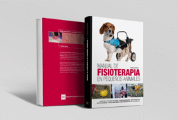 fisioterapia en pequeños animales