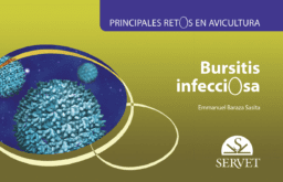 Bursitis infecciosa. Principales retos en avicultura