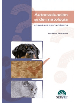 Autoevaluación en dermatología