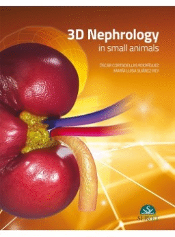Nephrology 3D