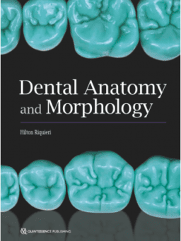 DENTAL ANATOMY AND MORPHOLOGY