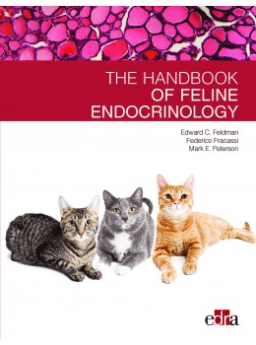 Feline endocrinology