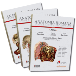 Atlas Anatomía Humana (3 Tomos)