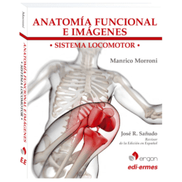 Anatomía Sistema locomotor