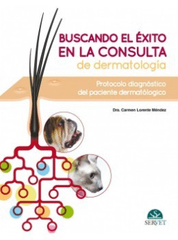 Buscando el éxito en la consulta de dermatología: Protocolo diagnóstico del paciente dermatólogico
