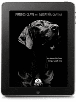 Puntos clave de geriatría canina (versión e-book)