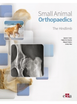 Small animal orthopaedics. The hindlimb