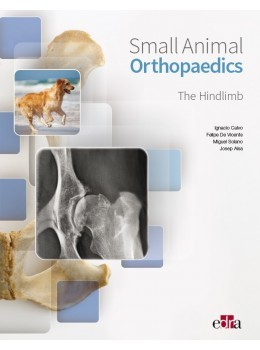Small animal orthopaedics. The hindlimb
