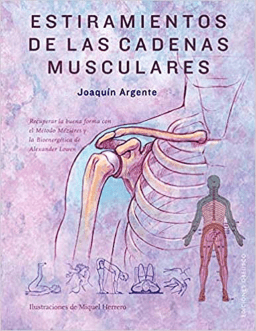 Estiramientos de las Cadenas Musculares