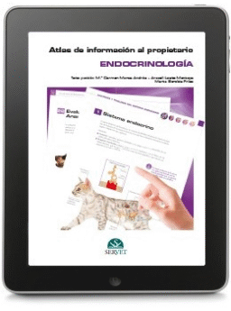 Atlas de información al propietario. Endocrinología