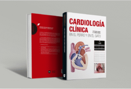 cardiología clínica
