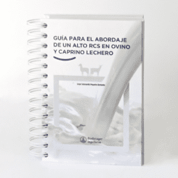 Guía para el abordaje de un alto RCS en ovino y caprino lechero