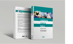 medicina interna felina