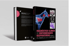 Diagnóstico clínico de enfermedades respiratorias en animales de compañía