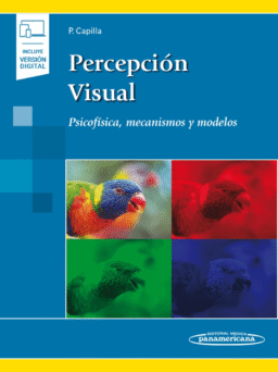 Percepción visual Psicofísica, mecanismos y modelos.