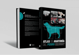 Atlas de anatomía del perro
