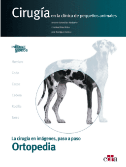 ortopedia pequeños animales