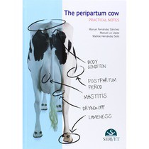 The peripartum cow: practical notes