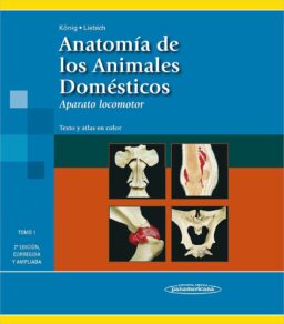 Anatomía de los Animales Domésticos. Tomo 1. Aparato locomotor