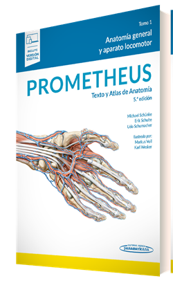 promeheus atlas anatomía aparato locomotor