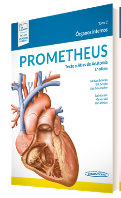 prometheus atlas anatomía órganos