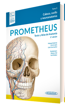 prometheus t.3 cabeza