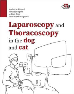 Laparoscopy and thoracoscopy in the dog and cat