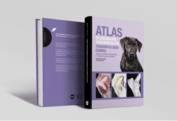 abordajes traumatologí­a canina