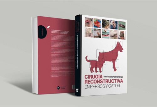 cirugía reconstructiva en perros y gatos