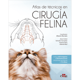 cirugía felina