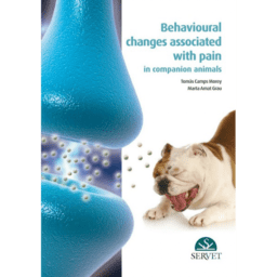 BEHAVIOUR PAIN