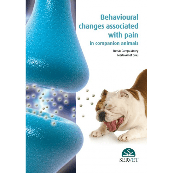 BEHAVIOUR PAIN
