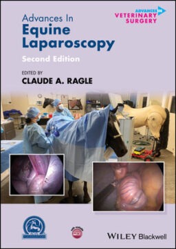 equine laparoscopy