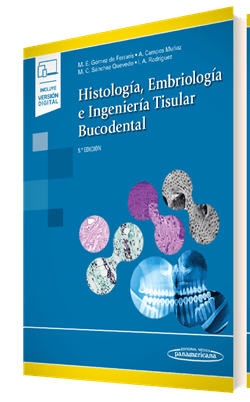 tisular bucodental