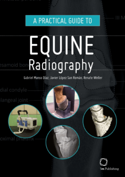 equine radiography